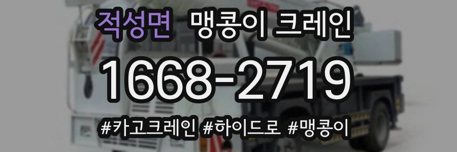 적성면 맹콩이 크레인