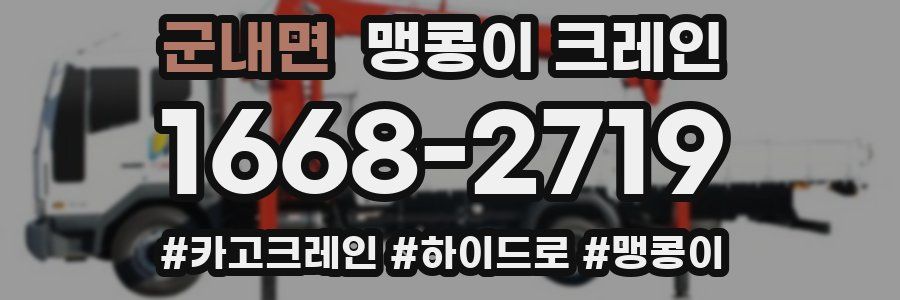 군내면 맹콩이 크레인