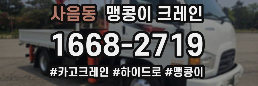 사음동 맹콩이 크레인