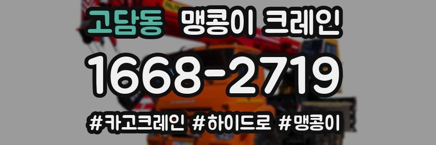 고담동 맹콩이 크레인