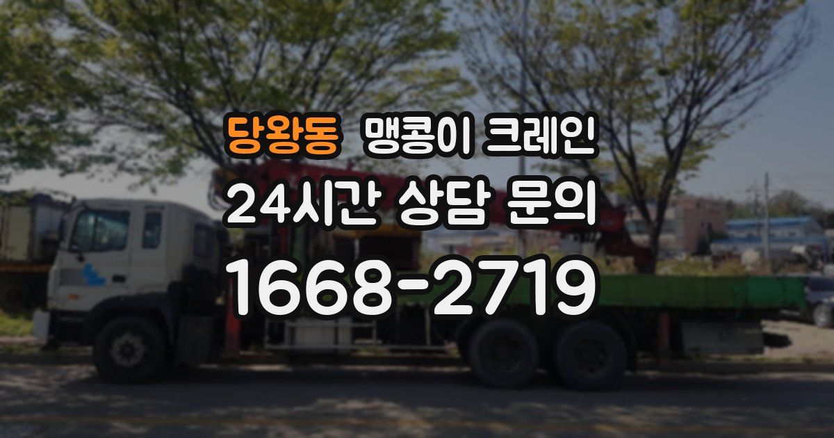 당왕동 맹콩이 크레인