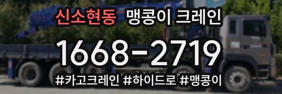 신소현동 맹콩이 크레인