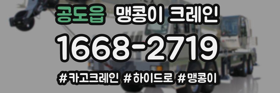 공도읍 맹콩이 크레인