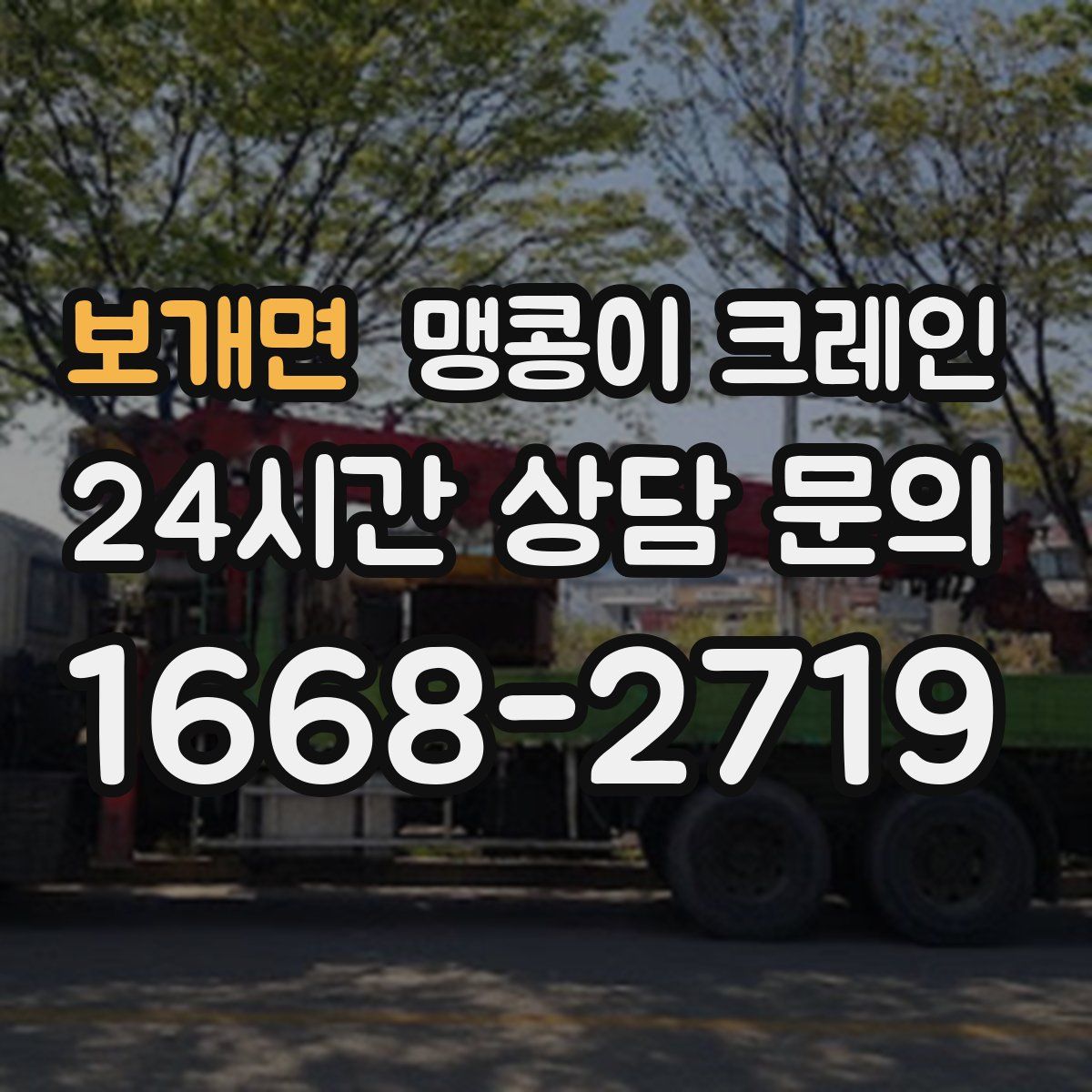 보개면 맹콩이 크레인