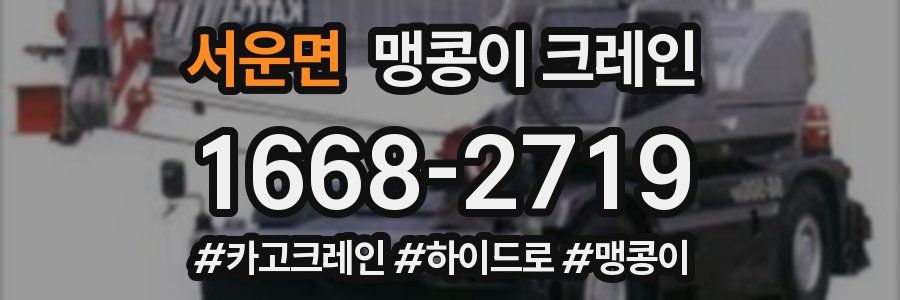 서운면 맹콩이 크레인