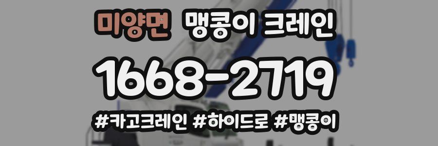 미양면 맹콩이 크레인