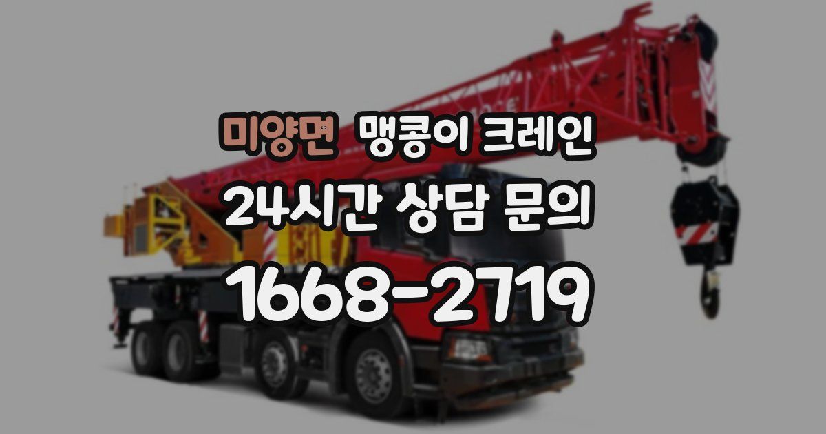 미양면 맹콩이 크레인