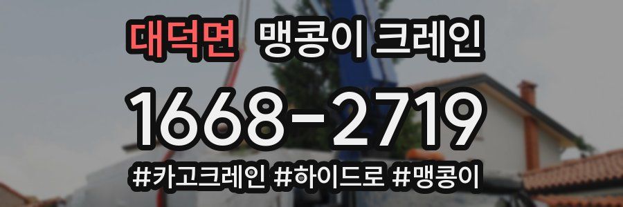 대덕면 맹콩이 크레인