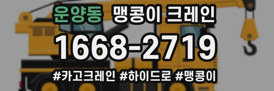 운양동 맹콩이 크레인