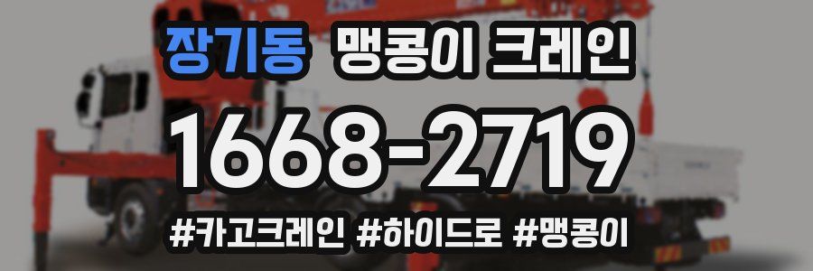 장기동 맹콩이 크레인