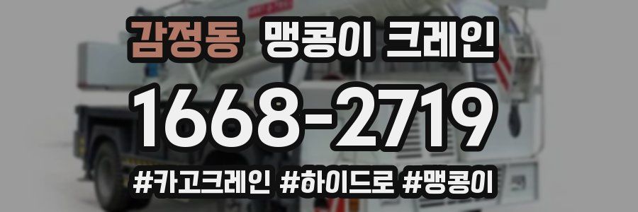 감정동 맹콩이 크레인