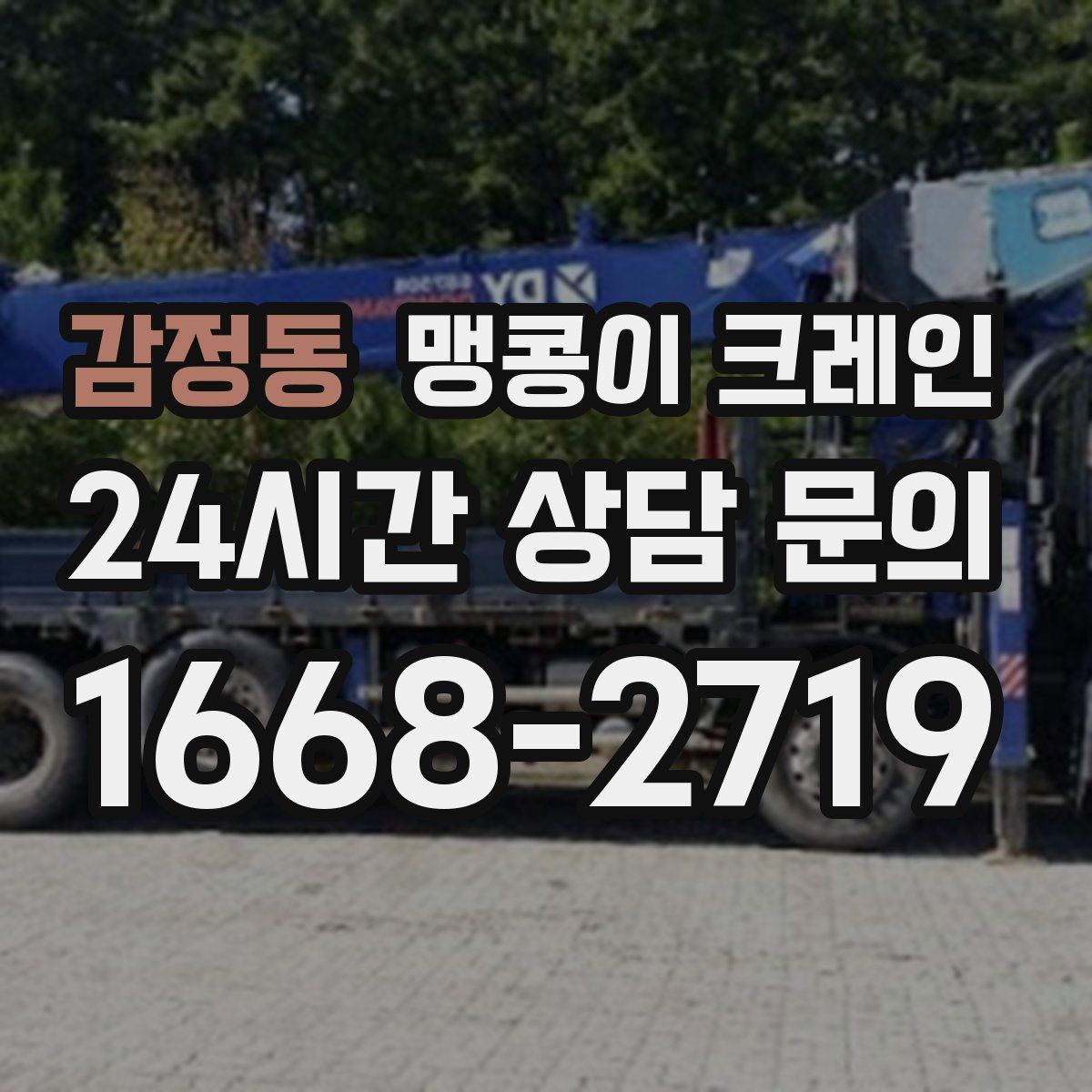 감정동 맹콩이 크레인