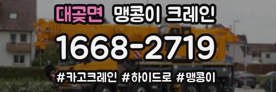 대곶면 맹콩이 크레인