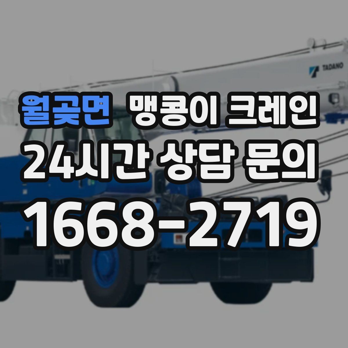 월곶면 맹콩이 크레인 정밀 설치에서 '미세 조정'이 중요한 이유