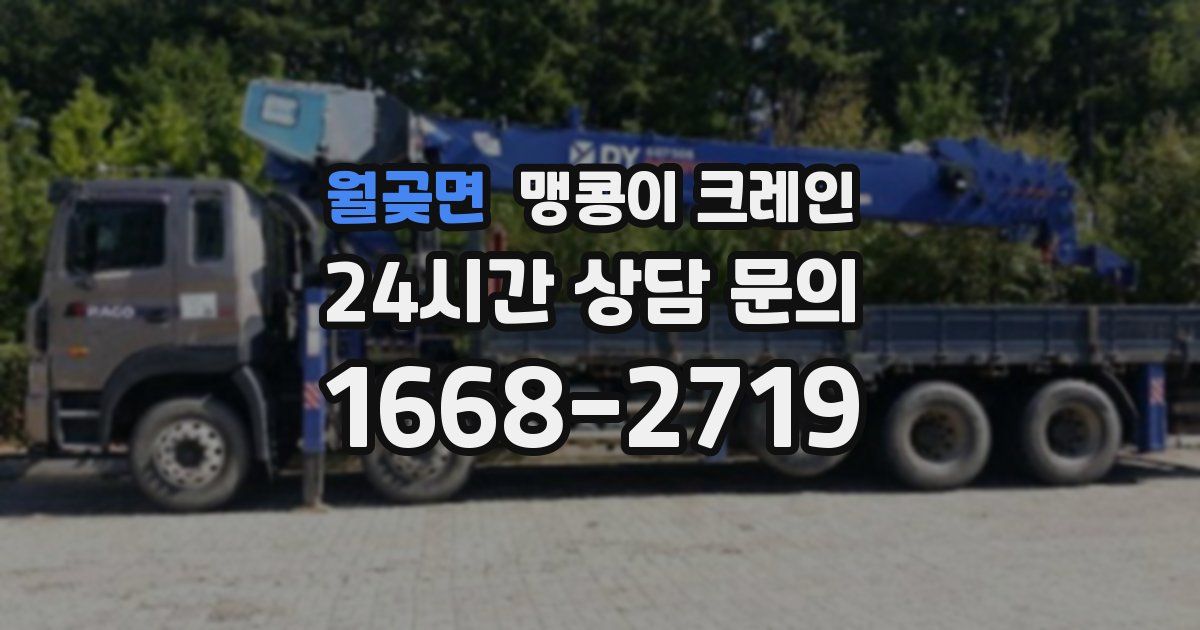 월곶면 맹콩이 크레인
