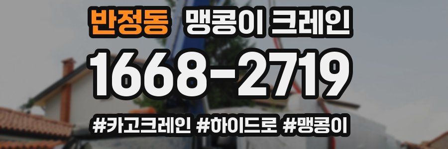 반정동 맹콩이 크레인