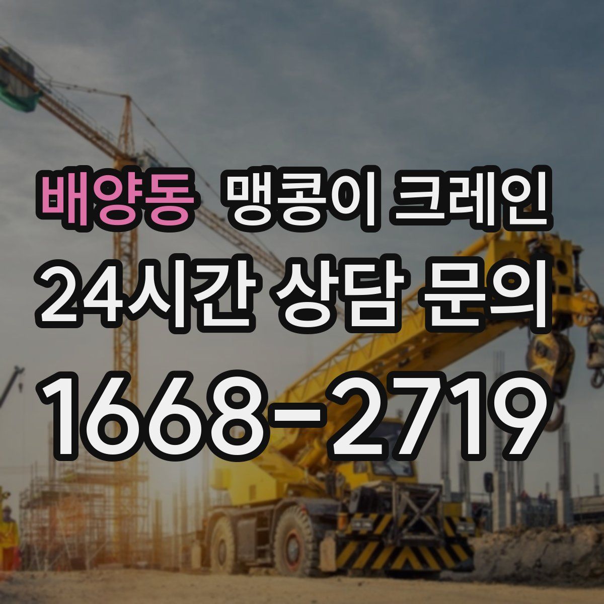 배양동 맹콩이 크레인