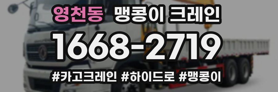 영천동 맹콩이 크레인