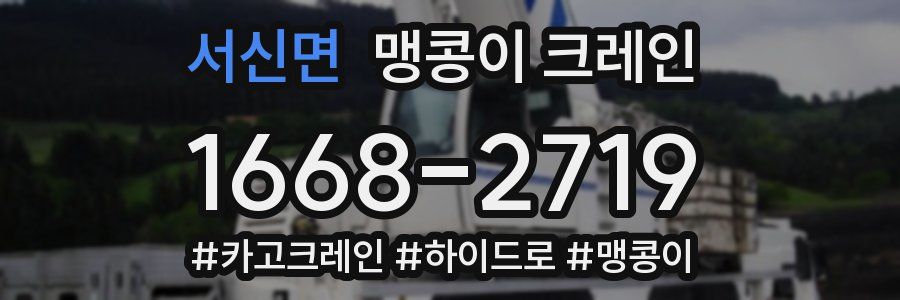 서신면 맹콩이 크레인