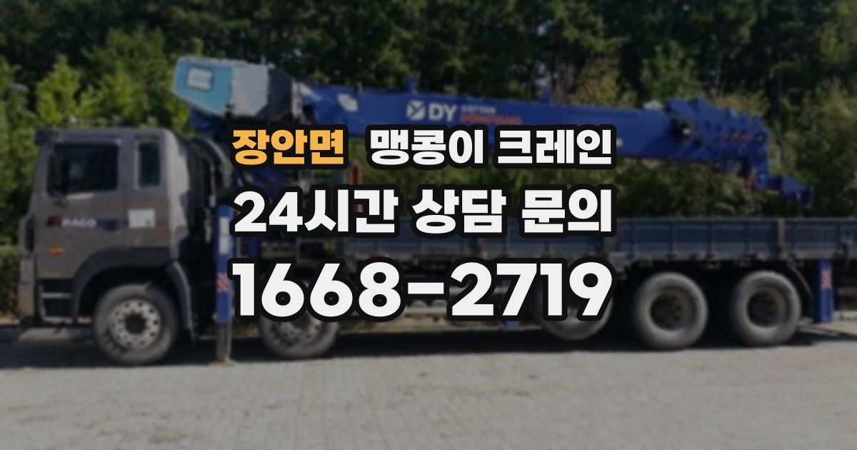장안면 맹콩이 크레인