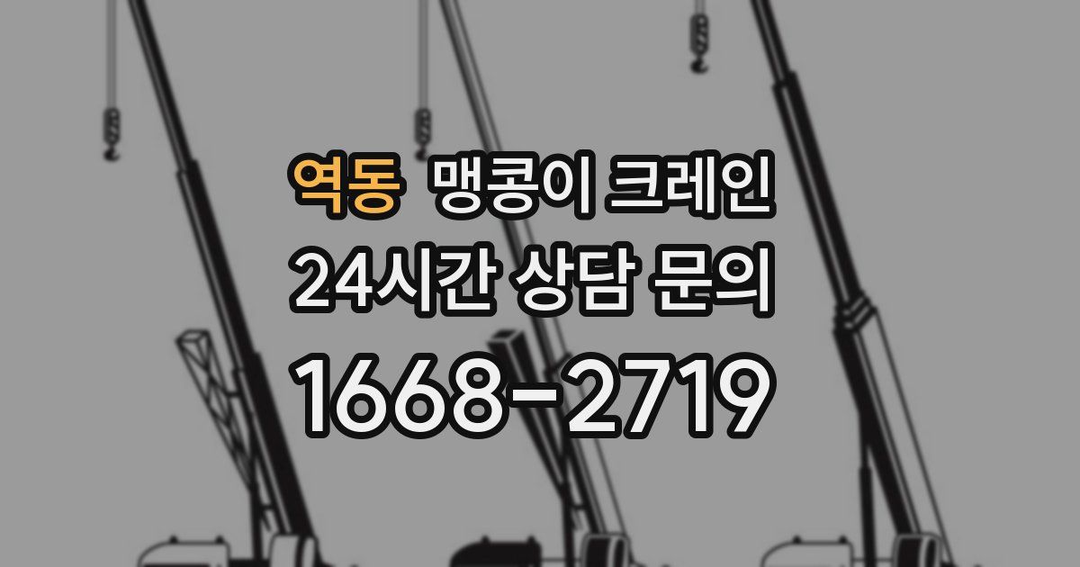 역동 맹콩이 크레인