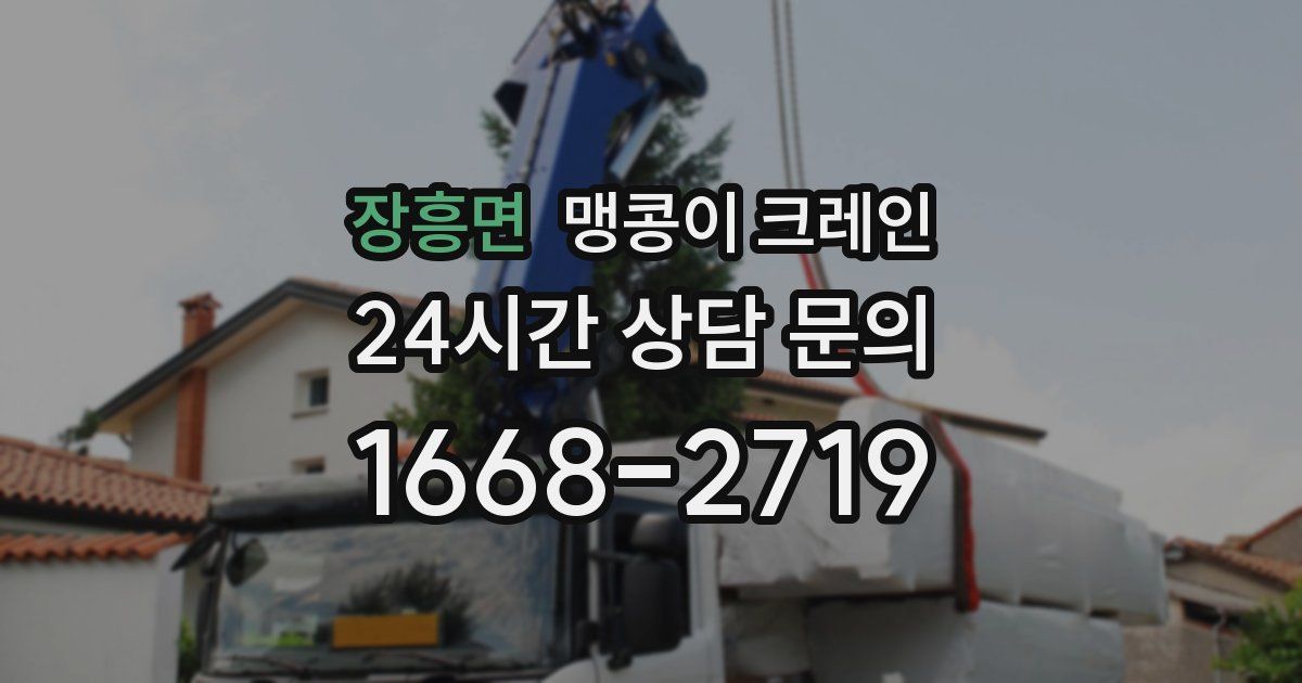 장흥면 맹콩이 크레인