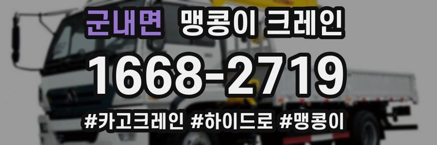 군내면 맹콩이 크레인