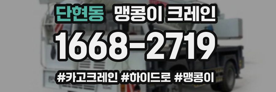 단현동 맹콩이 크레인