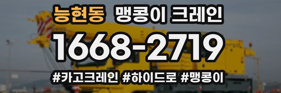 능현동 맹콩이 크레인