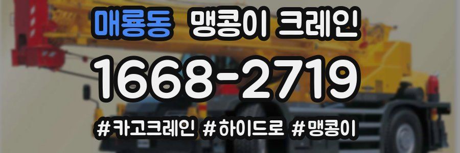 매룡동 맹콩이 크레인
