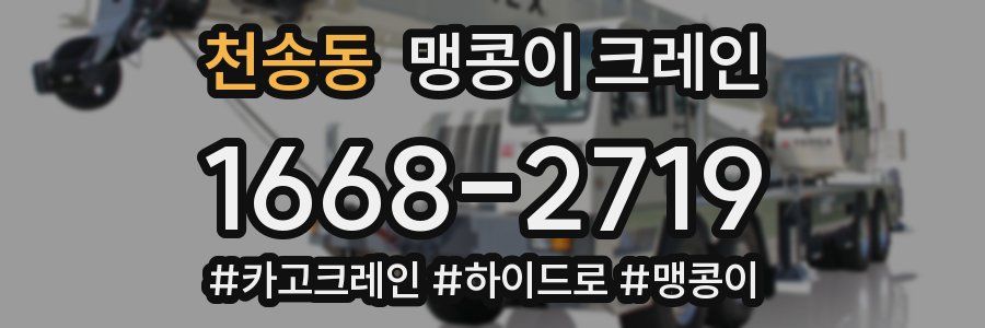 천송동 맹콩이 크레인