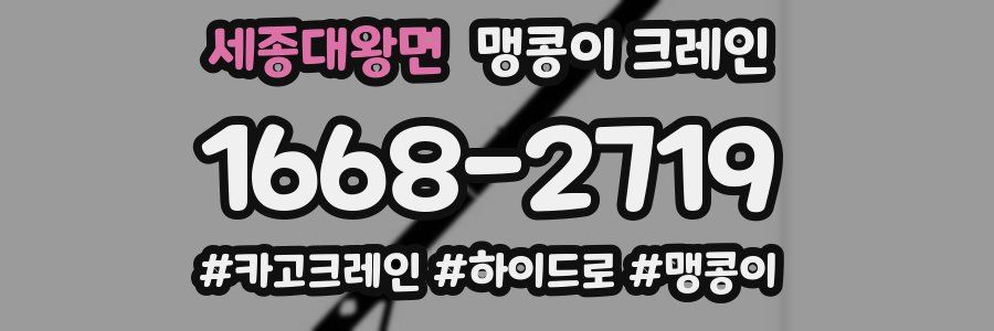 세종대왕면 맹콩이 크레인