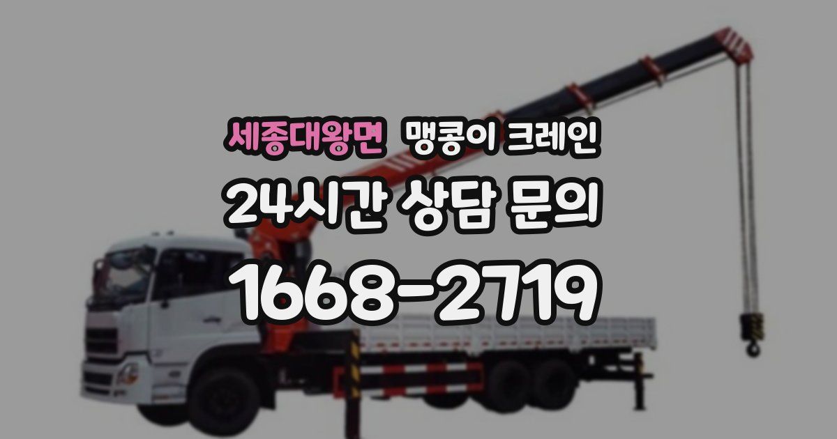 세종대왕면 맹콩이 크레인