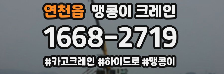 연천읍 맹콩이 크레인