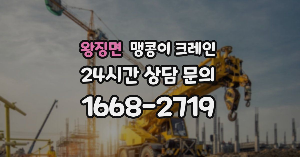 왕징면 맹콩이 크레인