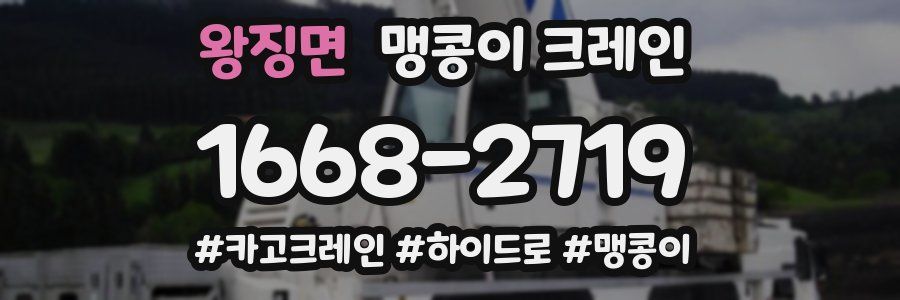 왕징면 맹콩이 크레인