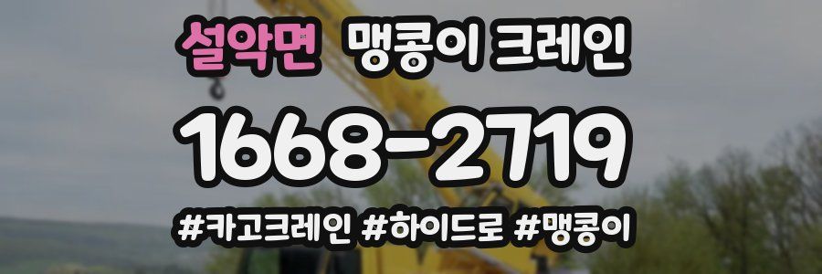 설악면 맹콩이 크레인