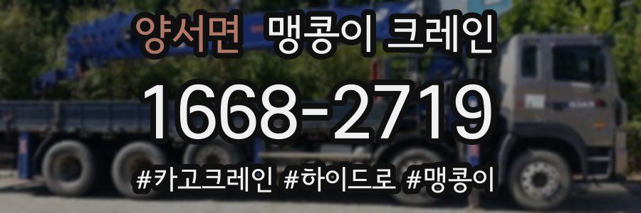 양서면 맹콩이 크레인