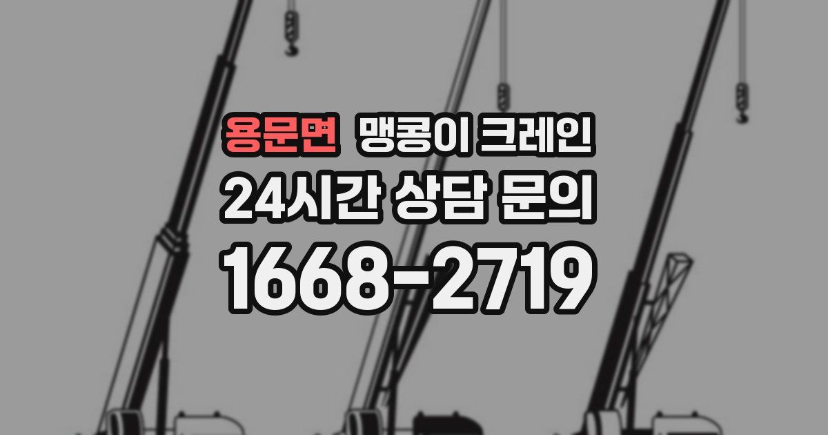 용문면 맹콩이 크레인