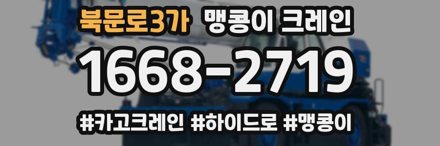 북문로3가 맹콩이 크레인