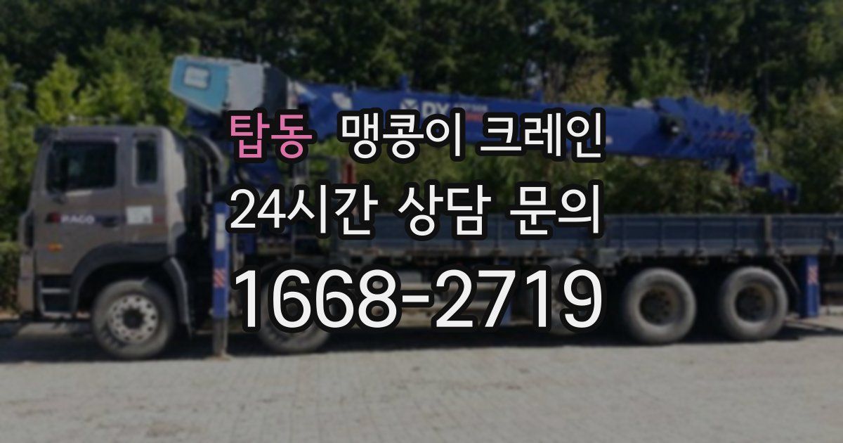 탑동 맹콩이 크레인