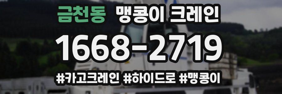금천동 맹콩이 크레인