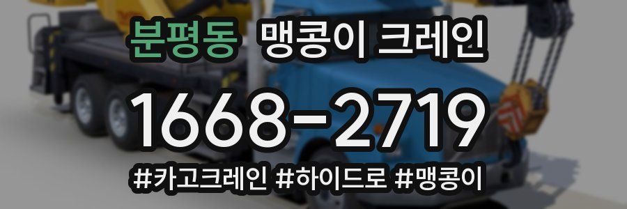 분평동 맹콩이 크레인