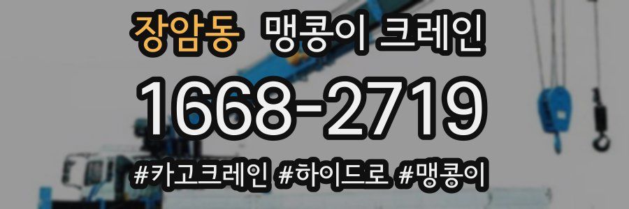 장암동 맹콩이 크레인
