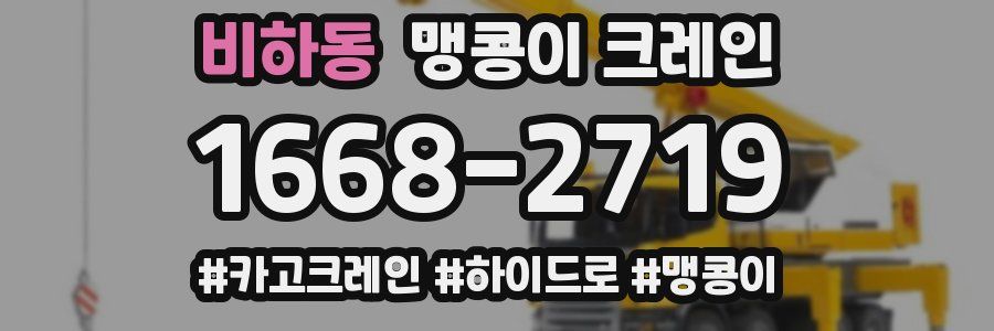 비하동 맹콩이 크레인