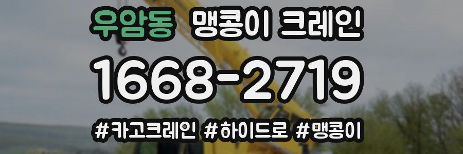 우암동 맹콩이 크레인