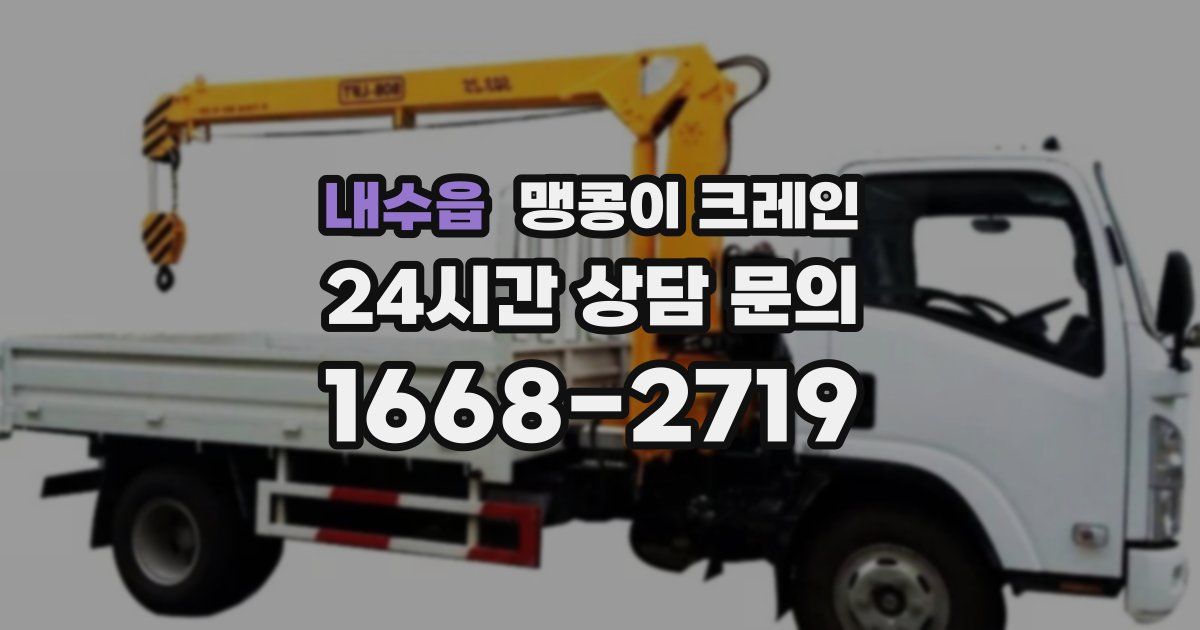 내수읍 맹콩이 크레인