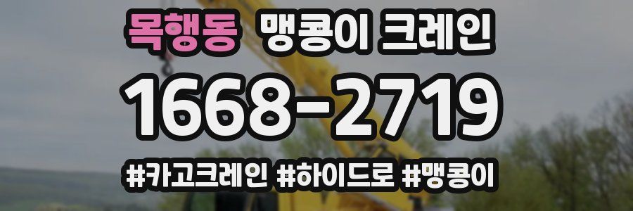목행동 맹콩이 크레인