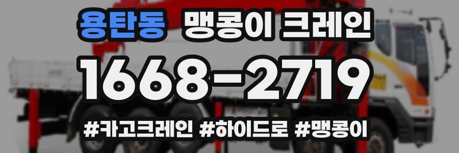 용탄동 맹콩이 크레인