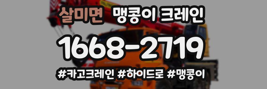 살미면 맹콩이 크레인